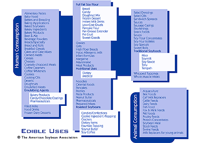 Click to enlarge.