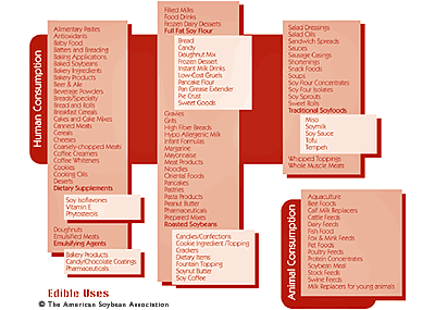 Click to enlarge.