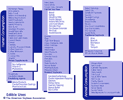 Click to enlarge.
