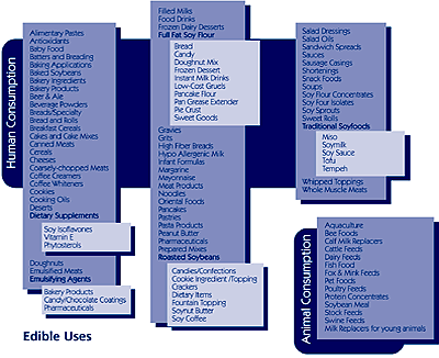 Click to enlarge.